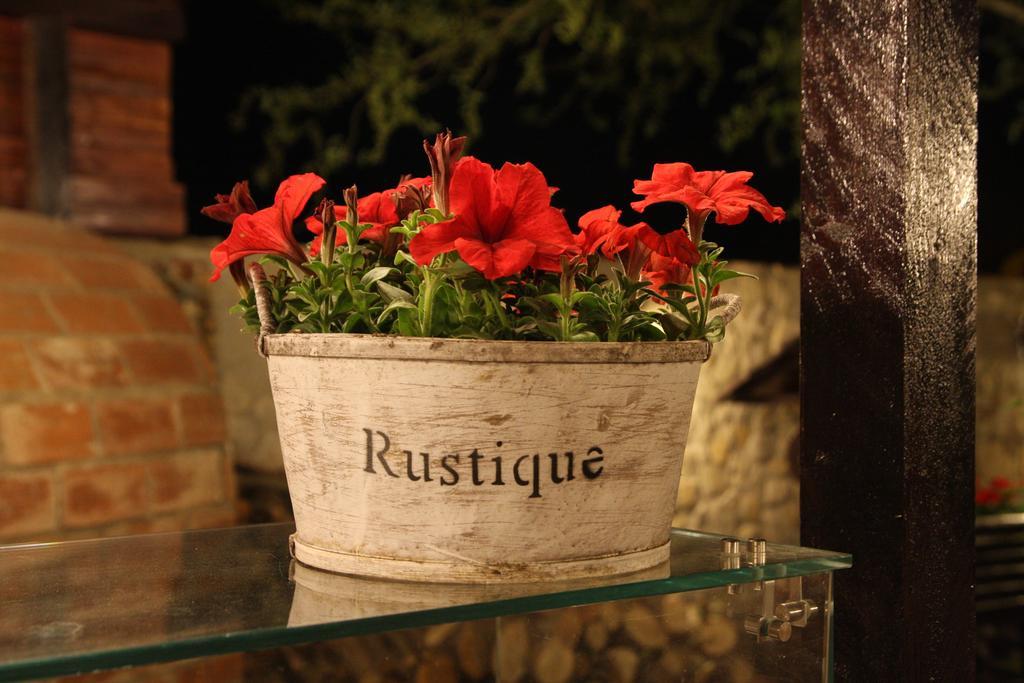 Rixo'S Guesthouse Cîrcea Zewnętrze zdjęcie