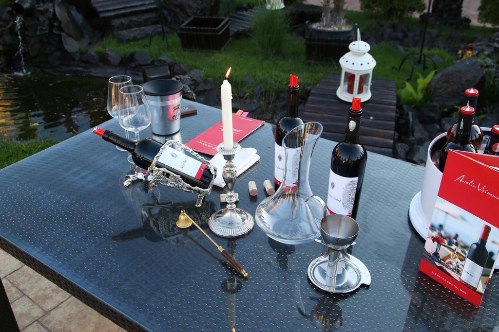 Rixo'S Guesthouse Cîrcea Zewnętrze zdjęcie