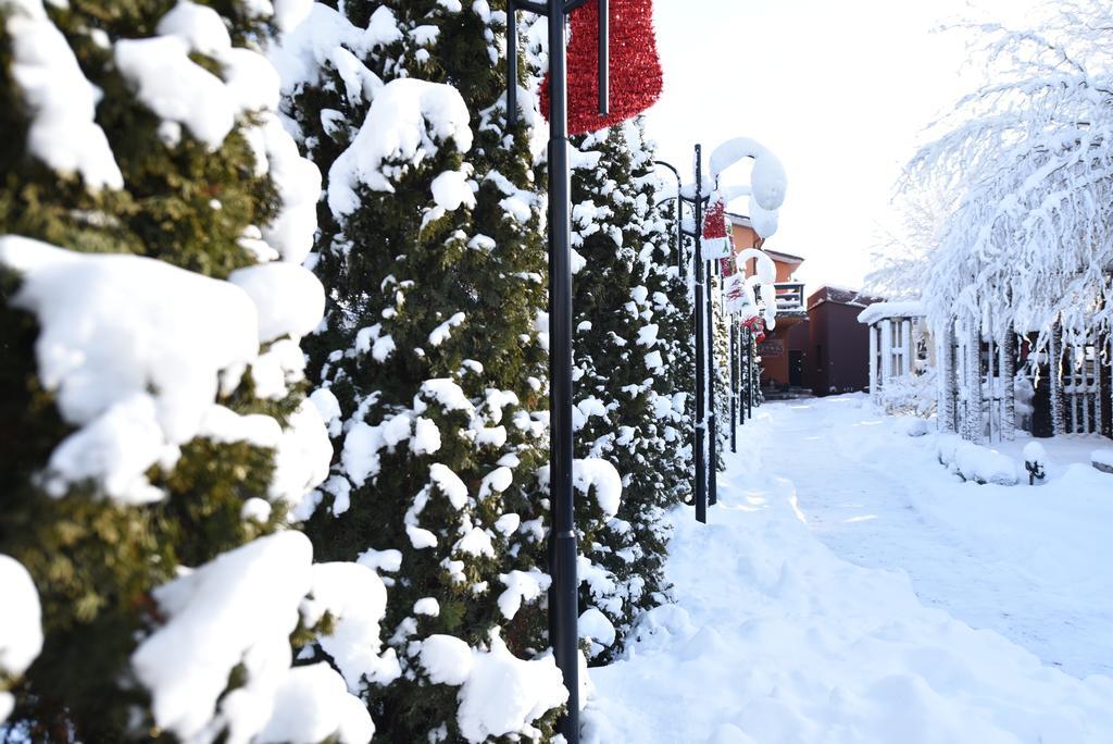 Rixo'S Guesthouse Cîrcea Zewnętrze zdjęcie